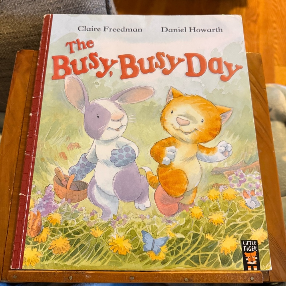 The Busy, Busy Day by Claire Freedman & Daniel Howarth Children's Fiction Book